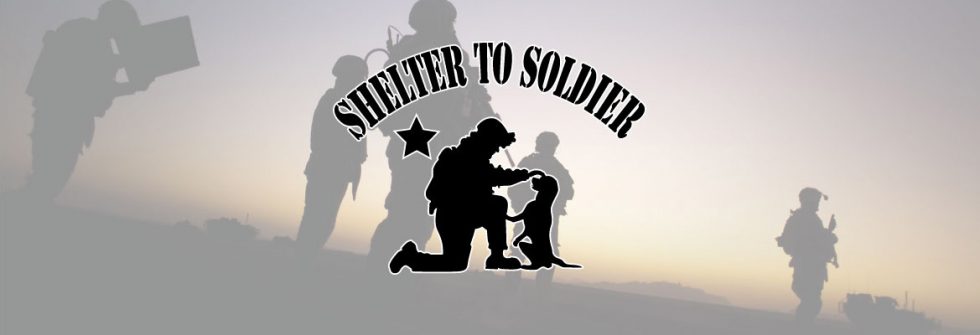 Shelter to Soldier — military service dogs for veterans